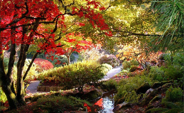 تصاویر زیباترین و بزرگترین باغ گل دنیا