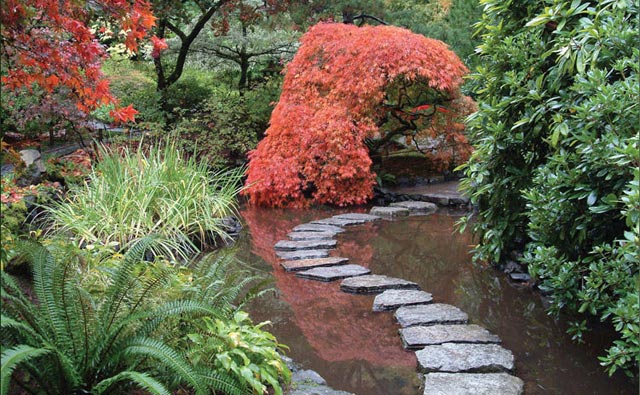 تصاویر زیباترین و بزرگترین باغ گل دنیا