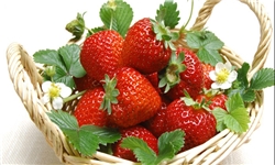 دستگاه ویژه ماندگاری میوه در ایران ساخته شد