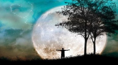5 خاصیت ضد استرس این گیاه