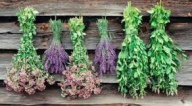 رایجترین گیاهان، برای کاهش چربی خون