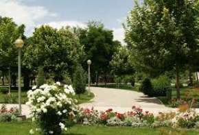 برگزاری دوره‌های آموزشی گل و گیاه ویژه تابستان