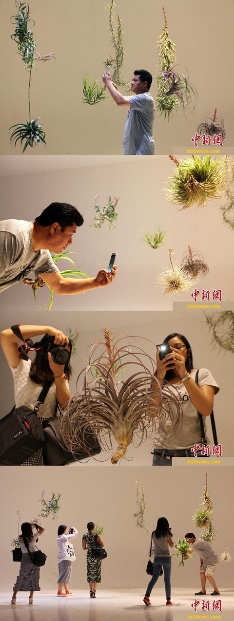 نمایشگاه گیاهان عجیب و غریب!