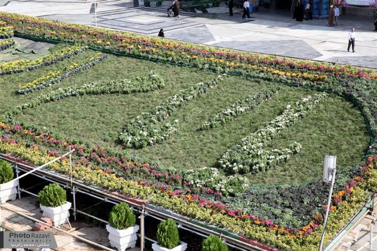 %d9%81%d8%b1%d8%b4-%da%af%d9%84-%db%b6%db%b0%db%b0-%d9%85%d8%aa%d8%b1%d9%85%d8%b1%d8%a8%d8%b9%db%8c-%c2%ab%d8%a8%d8%a7%d8%ba-%d8%a8%d9%87%d8%b4%d8%aa%c2%bb-%d8%af%d8%b1-%d8%ad%d8%b1%d9%85-%d8%b1%d8%b6%d9%88%db%8c-%d9%be%d9%87%d9%86-%d9%85%db%8c%e2%80%8c%d8%b4%d9%88%d8%af