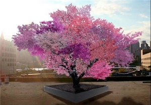 درختی با تولید 40 نوع میوه مختلف+ تصاویر