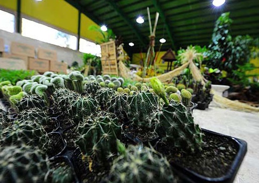 شهروندانی كرجی 20 دقیقه در دنیای گیاهان سیر می كنند