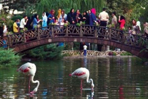 سومین نمایشگاه گل و گیاه کرج افتتاح می شود