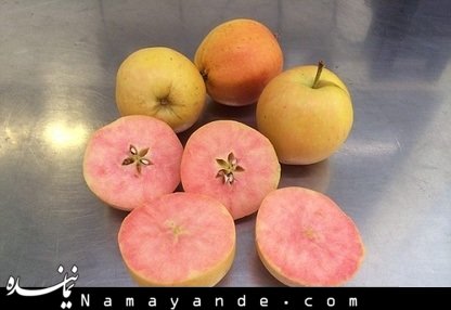 سیب عجیب