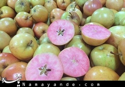 سیب عجیب