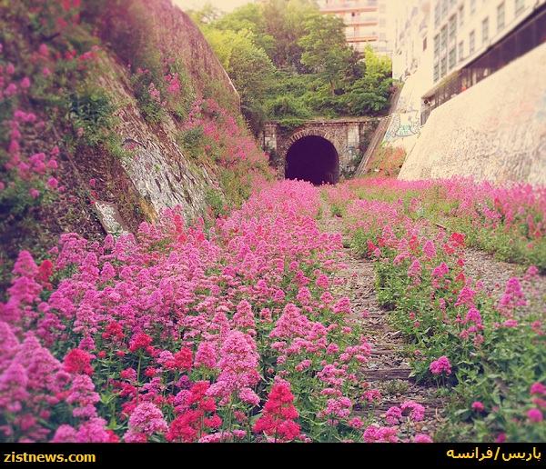 طبیعت؛ نیروی برتر(عکس)