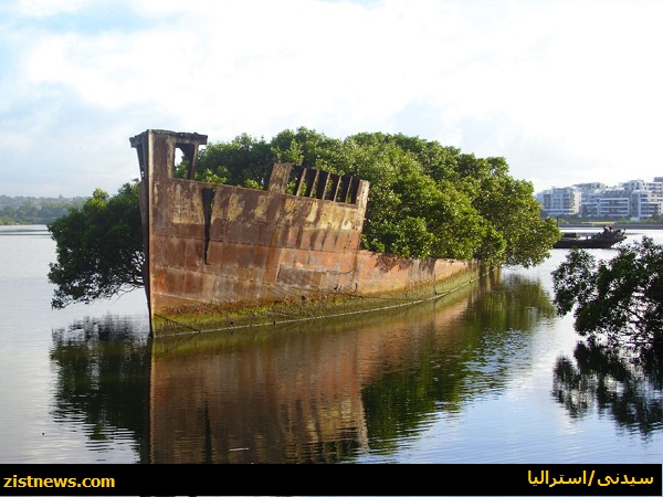 طبیعت؛ نیروی برتر(عکس)