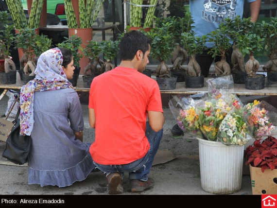 /گزارش تصویری/ خرید و فروش گل و گیاه در بازار گل شهید محلاتی