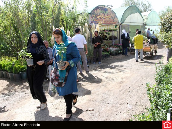 /گزارش تصویری/ خرید و فروش گل و گیاه در بازار گل شهید محلاتی