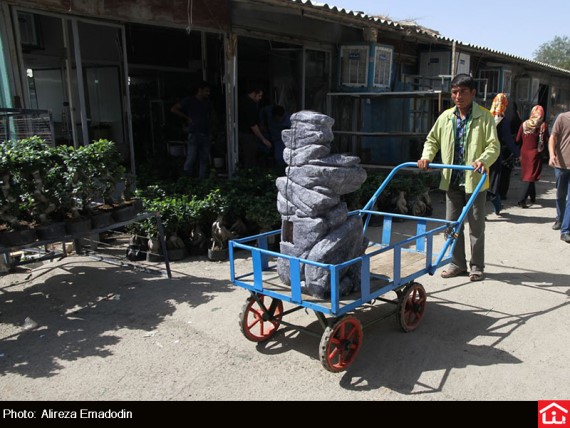 /گزارش تصویری/ خرید و فروش گل و گیاه در بازار گل شهید محلاتی