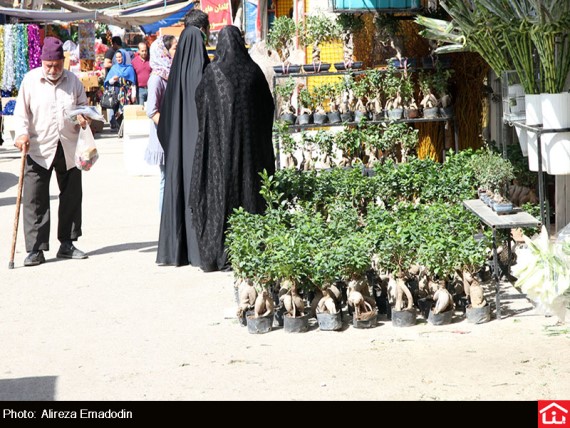 /گزارش تصویری/ خرید و فروش گل و گیاه در بازار گل شهید محلاتی