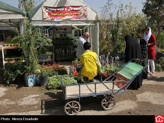 /گزارش تصویری/ خرید و فروش گل و گیاه در بازار گل شهید محلاتی