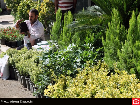 /گزارش تصویری/ خرید و فروش گل و گیاه در بازار گل شهید محلاتی