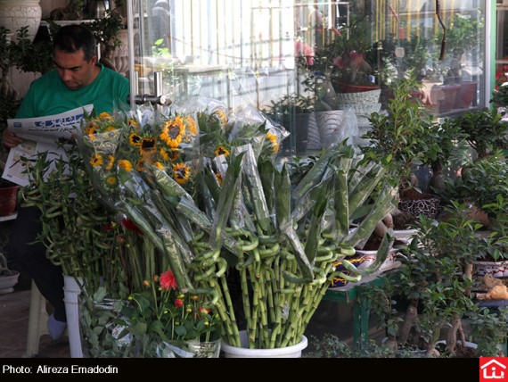 /گزارش تصویری/ خرید و فروش گل و گیاه در بازار گل شهید محلاتی