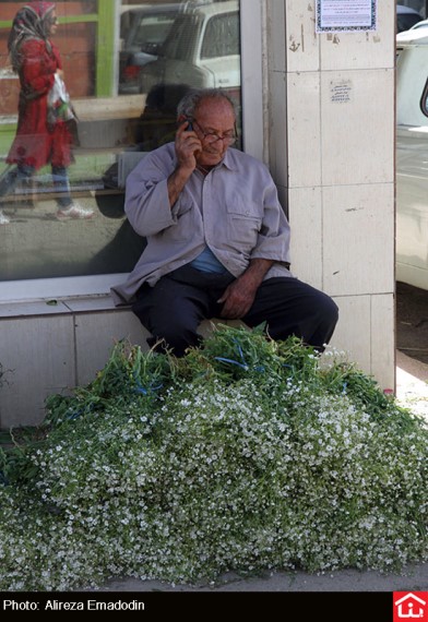 /گزارش تصویری/ خرید و فروش گل و گیاه در بازار گل شهید محلاتی