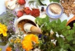 سودآوری بالای صنعت گیاهان دارویی