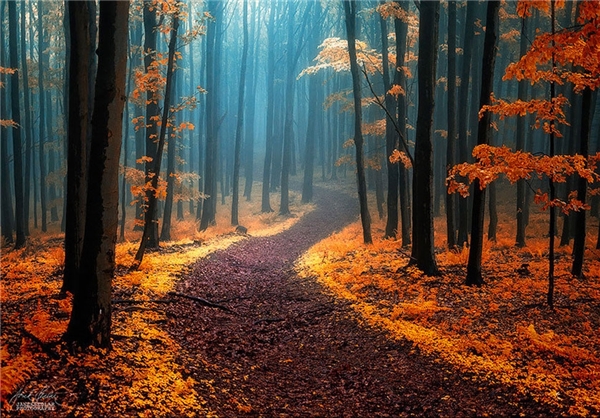 پاییز جهان+تصاویر