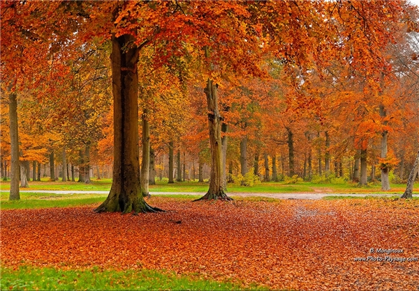 پاییز جهان+تصاویر