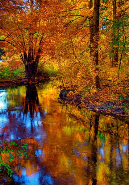 پاییز جهان+تصاویر