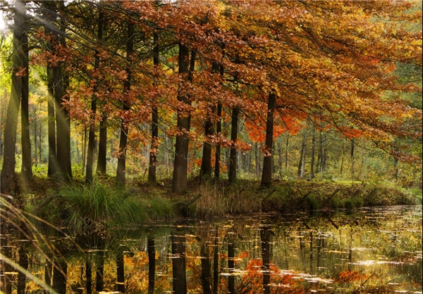 پاییز جهان+تصاویر