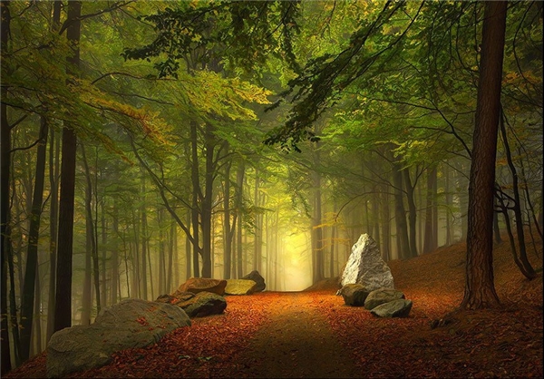 پاییز جهان+تصاویر