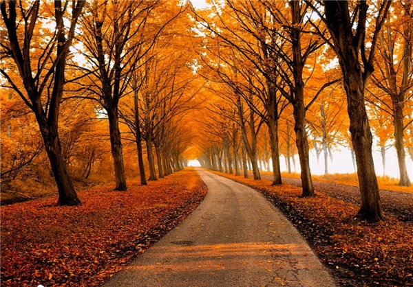 پاییز جهان+تصاویر