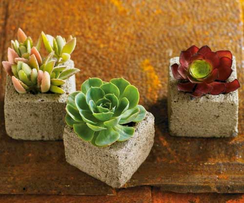 ایده های عجیب برای گلدان های زیبا (عکس)