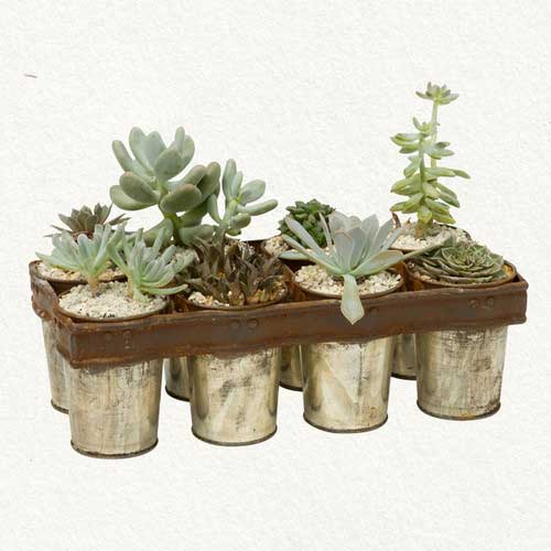 ایده های عجیب برای گلدان های زیبا (عکس)