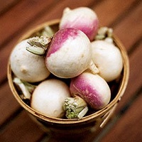 شلغم؛ گیاهی با خواص شگفت انگیز