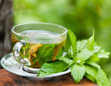  داروهای گیاهی,خواص داروهای گیاهی,جوشانده گیاهی