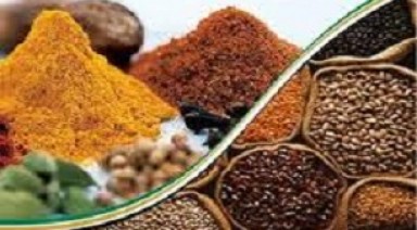 زردچوبه و بهبود یک بیماری دردناک