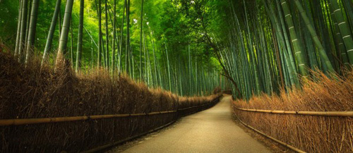 سبزترین گردشگاه های دنیا را ببینید