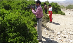 خبرگزاری فارس: عطر گیاهان دارویی در بهار کوهستان‌های ریگان