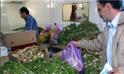 خبرگزاری فارس: سفره‌ معطر آذربایجانی‌ها با گیاهان دارویی دامنه‌های سهند