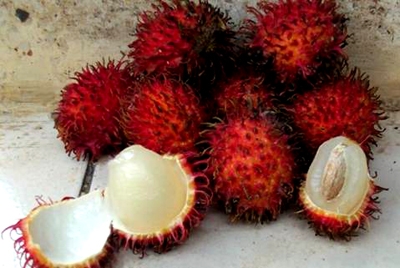 میوه‌های عجیب