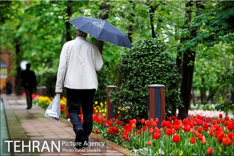 بوستان باغ ایرانی