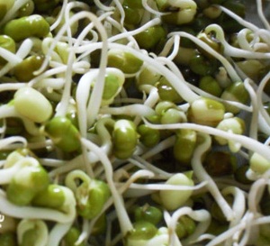 خواص مفيد برخي از جوانه ها براي بدن انسان