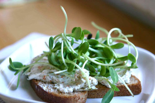 خواص مفيد برخي از جوانه ها براي بدن انسان