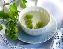 درمان اضطراب‌,داروي گياهي درمان اضطراب‌