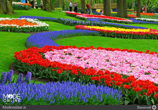 سفر به باغ‌های زیبای دنیا+تصاویر