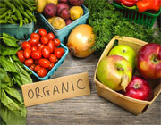 ارگانیک