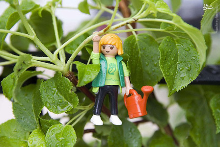 عکس/نمایشگاه گل و گیاه چلسی 