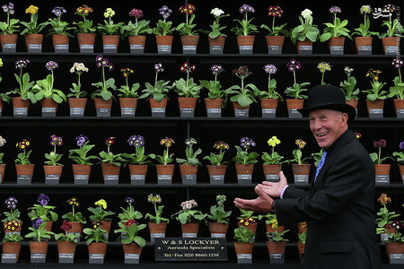 عکس/نمایشگاه گل و گیاه چلسی 