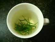 دم کرده ترخون