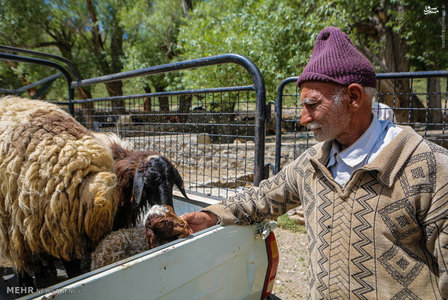 عکس/ زیبایی‌های خوانسار 