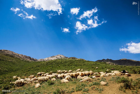 عکس/ زیبایی‌های خوانسار 